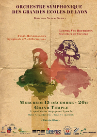 Affiche du concert du 15 décembre 2010